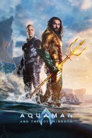 Aquaman and the Lost Kingdom (2023) Online Subtitrat