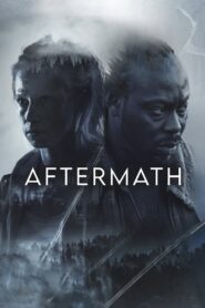 Aftermath (2024) Online Subtitrat in Romana