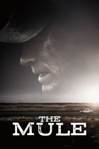 The Mule (2018) Online Subtitrat in Romana