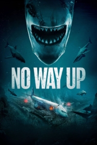 No Way Up (2024) Online Subtitrat in Romana