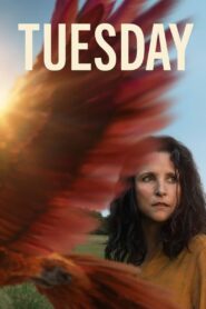 Tuesday (2023) Online Subtitrat in Romana