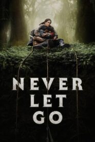 Never Let Go (2024) Online Subtitrat in Romana