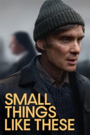 Small Things Like These (2024) Online Subtitrat in Romana