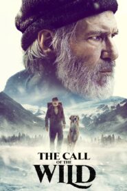 The Call of the Wild (2020) Online Subtitrat in Romana