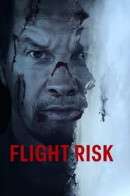 Flight Risk (2025) Online Subtitrat in Romana