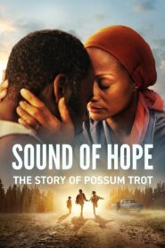 Sound of Hope: The Story of Possum Trot (2024) Online Subtitrat in Romana