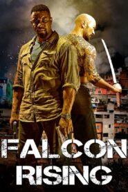 Falcon Rising (2014) Online Subtitrat in Romana