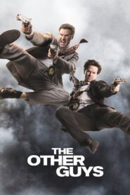 The Other Guys (2010) Online Subtitrat in Romana